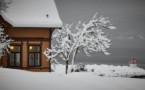 Winter is Coming – Protect Your Property